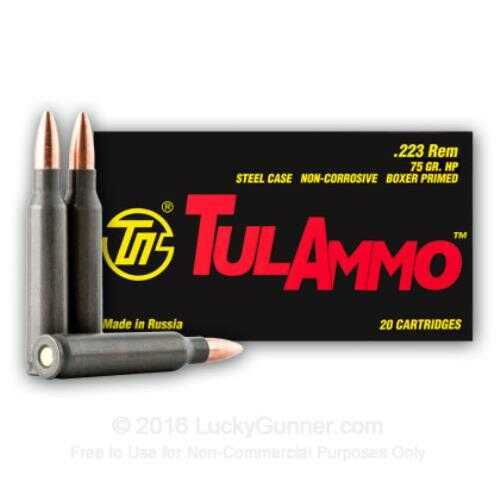 223 Remington 40 Rounds Ammunition Tula 75 Grain Hollow Point